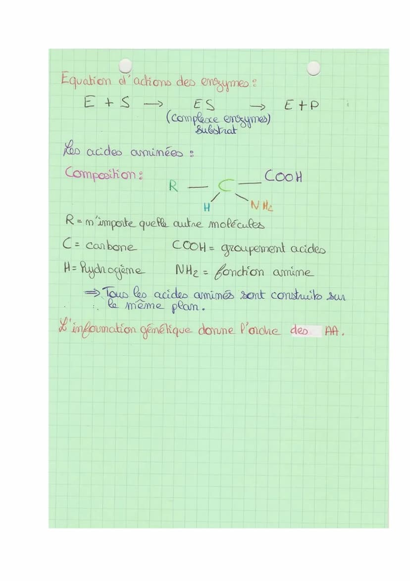 Theme 1
FA
SVT
Def& division cellulaire précédée de la réplication de l'ADN,
conduisant à partir d'une ceflute mère, au partage de
l'informa