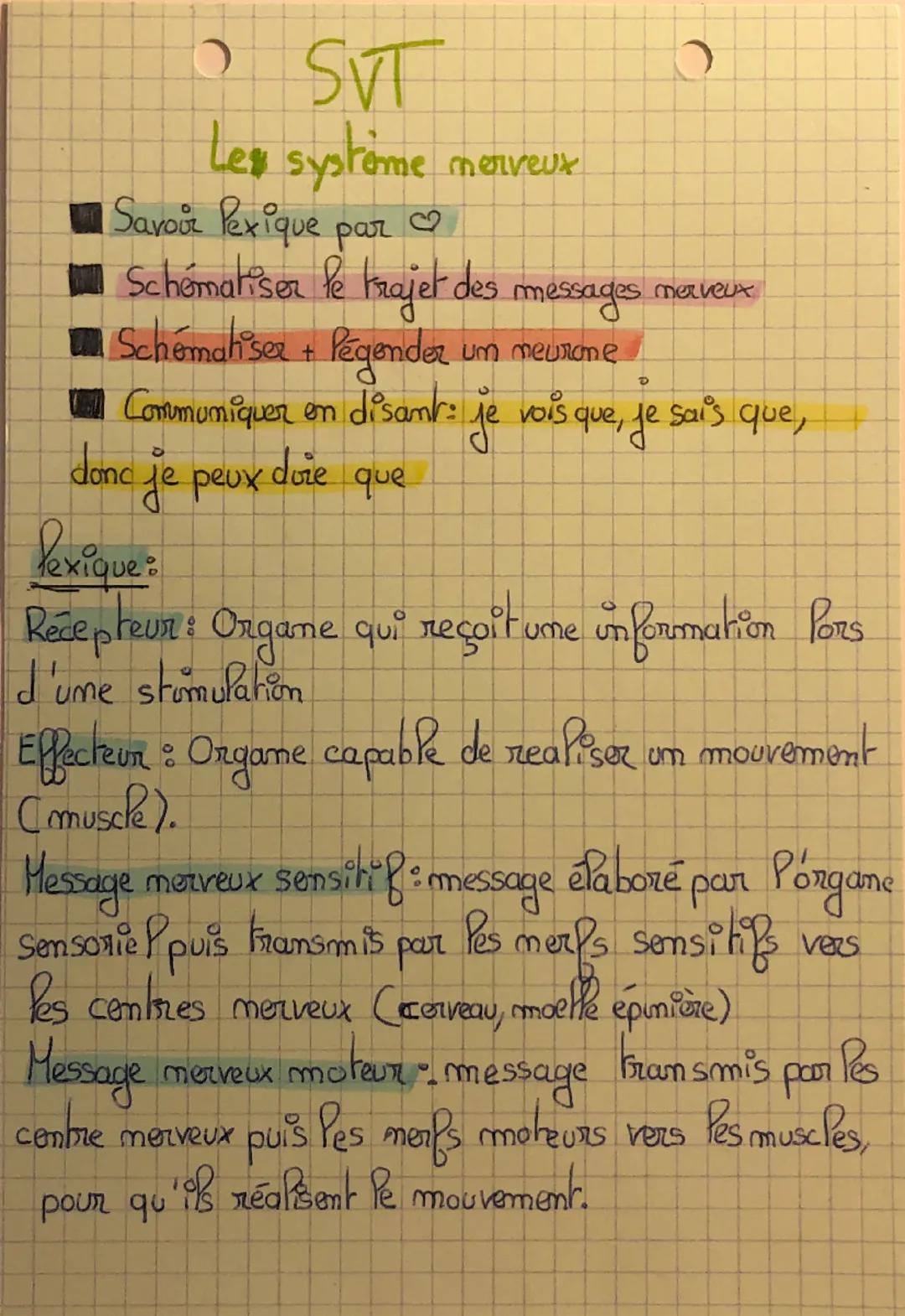 # SVT
Les systeme merveux
- Savor Pexique par $\heartsuit$
- Schématiser le krajet des messages maveux
- Schématiser + Régender um meurone
-