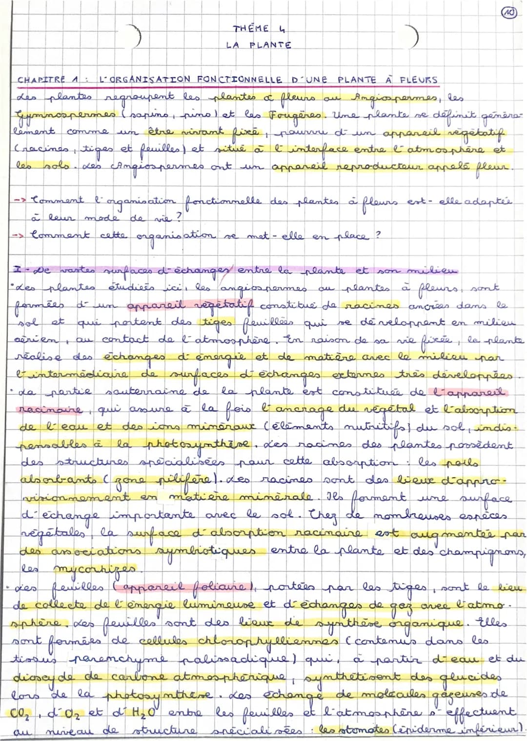 CHAPITRE A L'ORGANISATION FONCTIONNELLE D'UNE PLANTE A FLEURS
fleurs
Les plantes regroupent les plantes a
Gymnospermes (sapino, pino) et les