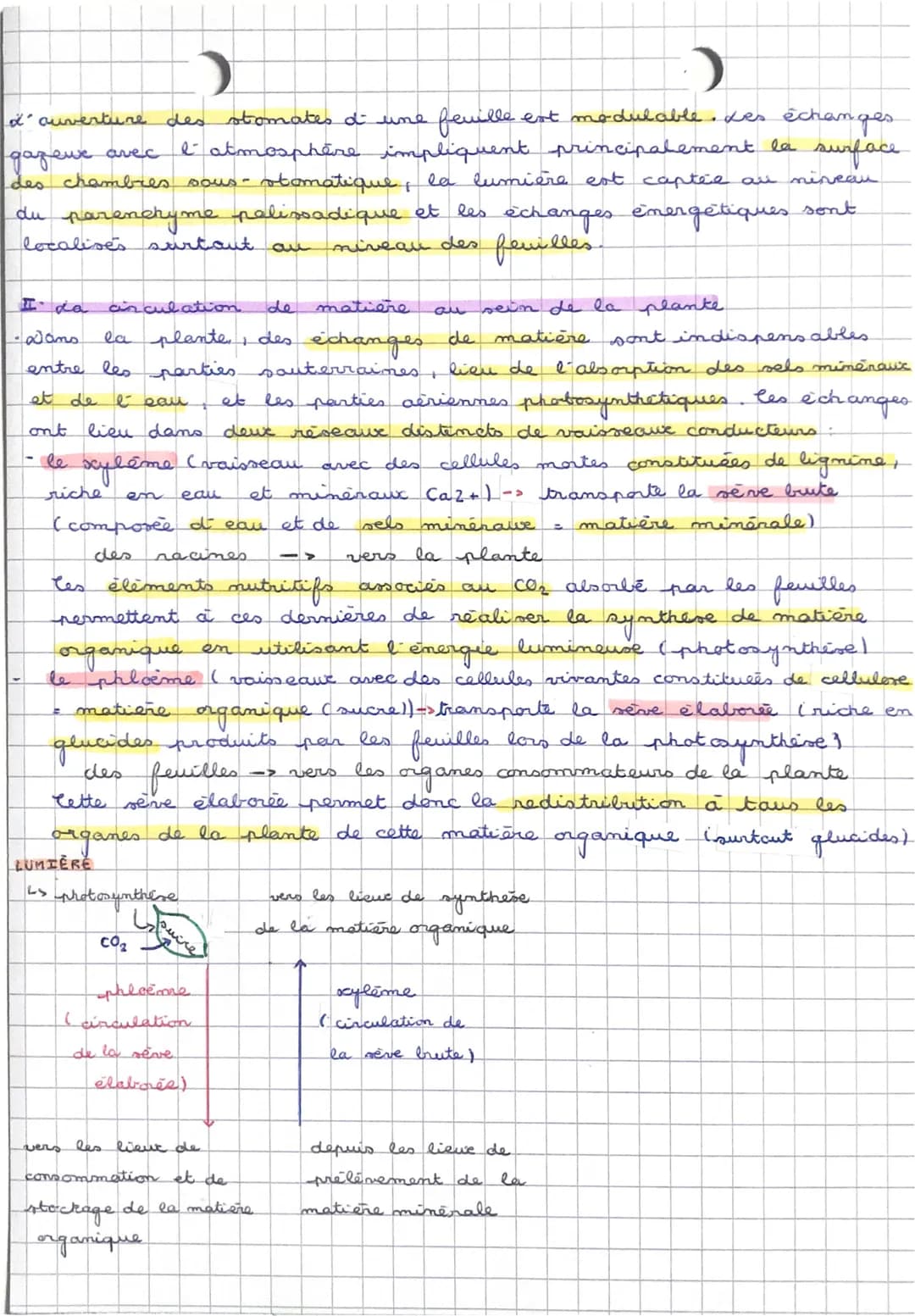 CHAPITRE A L'ORGANISATION FONCTIONNELLE D'UNE PLANTE A FLEURS
fleurs
Les plantes regroupent les plantes a
Gymnospermes (sapino, pino) et les