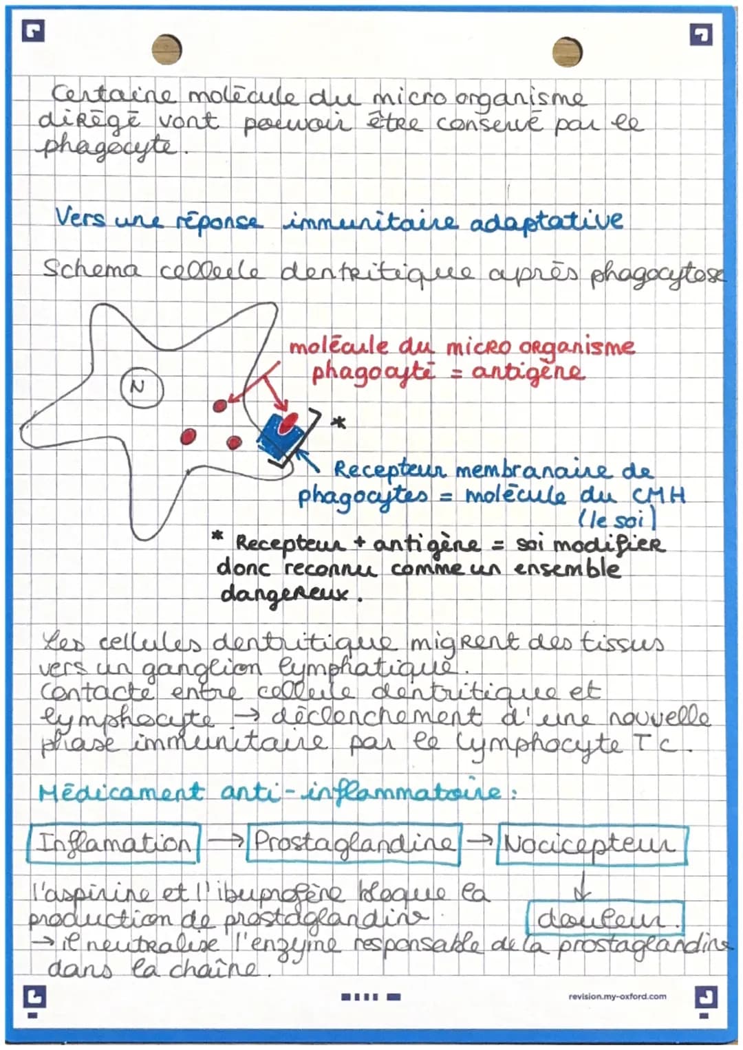 ง
immuniteinde
Immunité inée: ensemble de reaction
présente dès la naissance et ne necessitant
pas d'apprentissage préalable. Elle se déclen