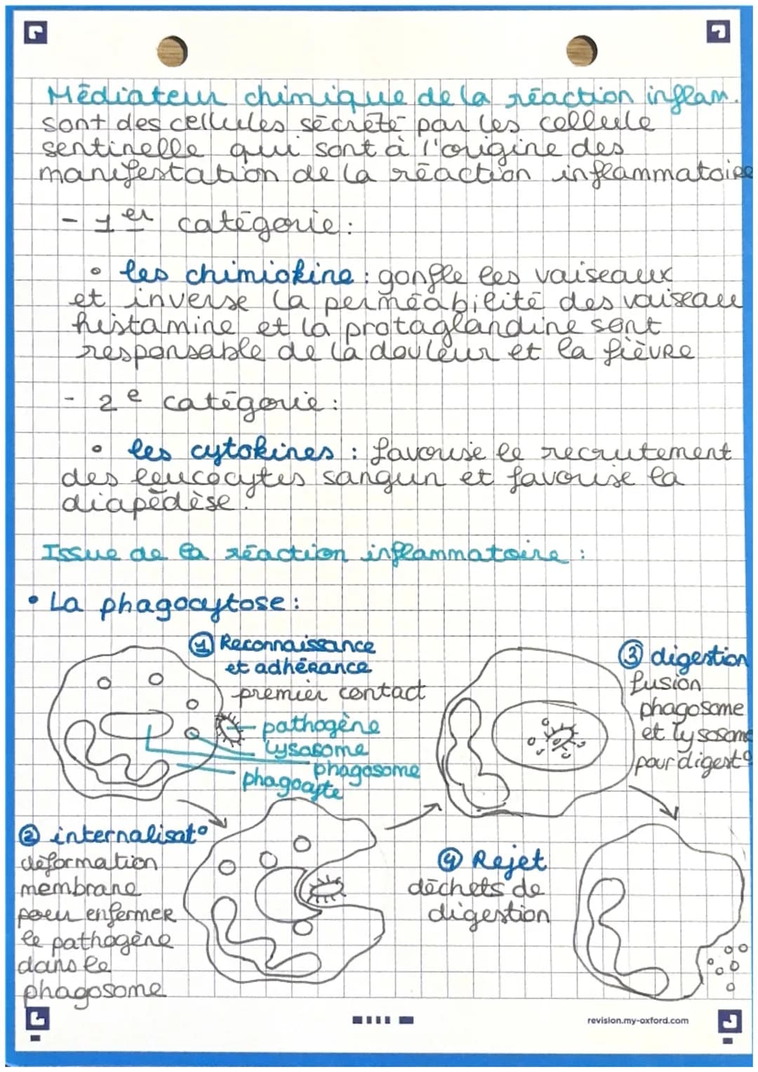 ง
immuniteinde
Immunité inée: ensemble de reaction
présente dès la naissance et ne necessitant
pas d'apprentissage préalable. Elle se déclen