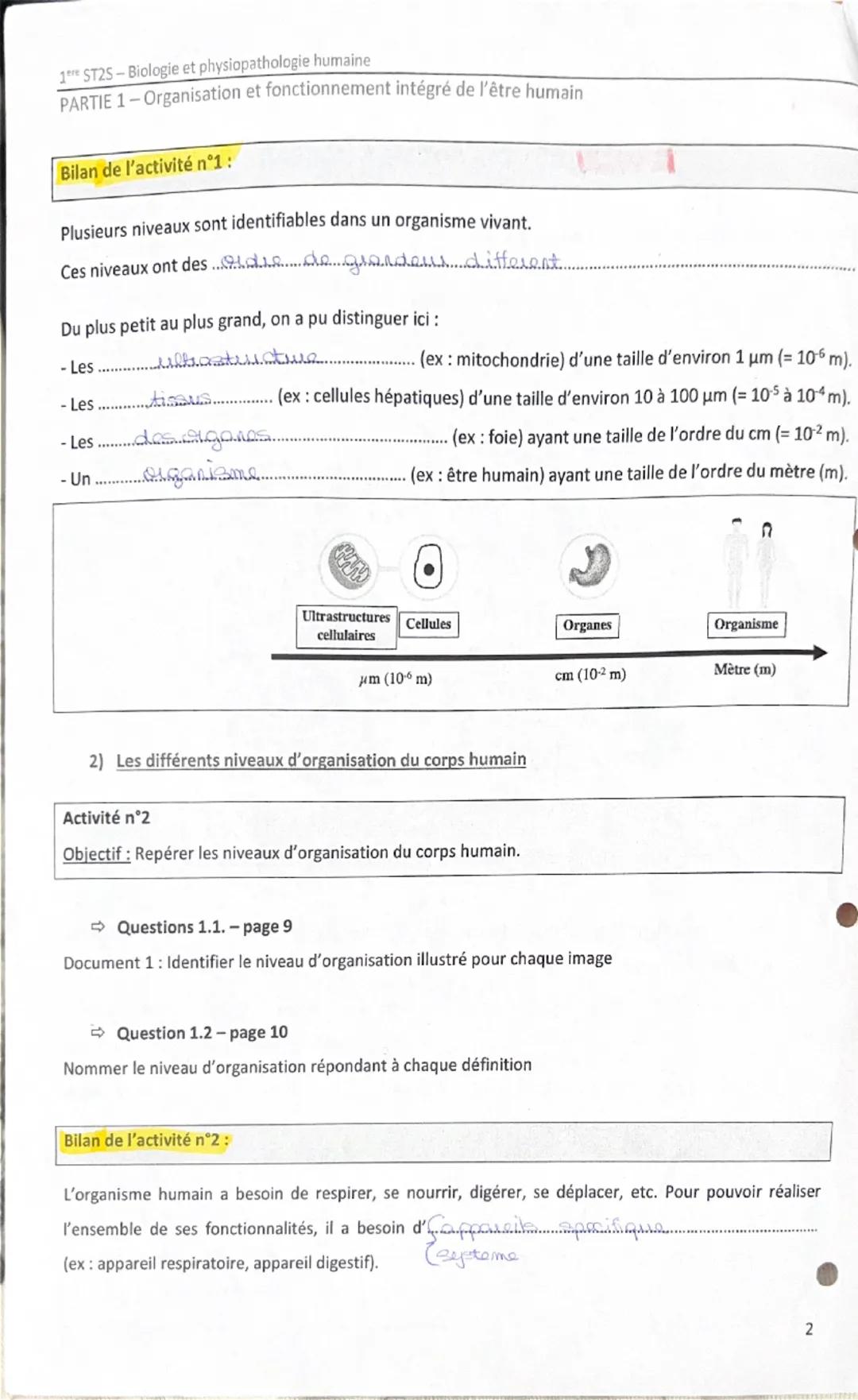 # 1<sup>er</sup> ST2S – Biologie et physiopathologie humaine
PARTIE 1 – Organisation et fonctionnement intégré de l’être humain

Bilan de l’