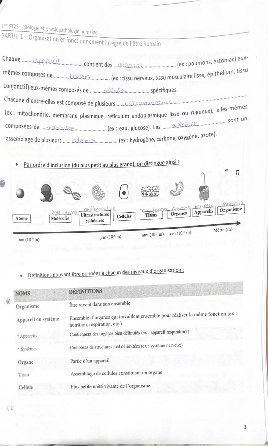 # 1<sup>er</sup> ST2S – Biologie et physiopathologie humaine
PARTIE 1 – Organisation et fonctionnement intégré de l’être humain

Bilan de l’