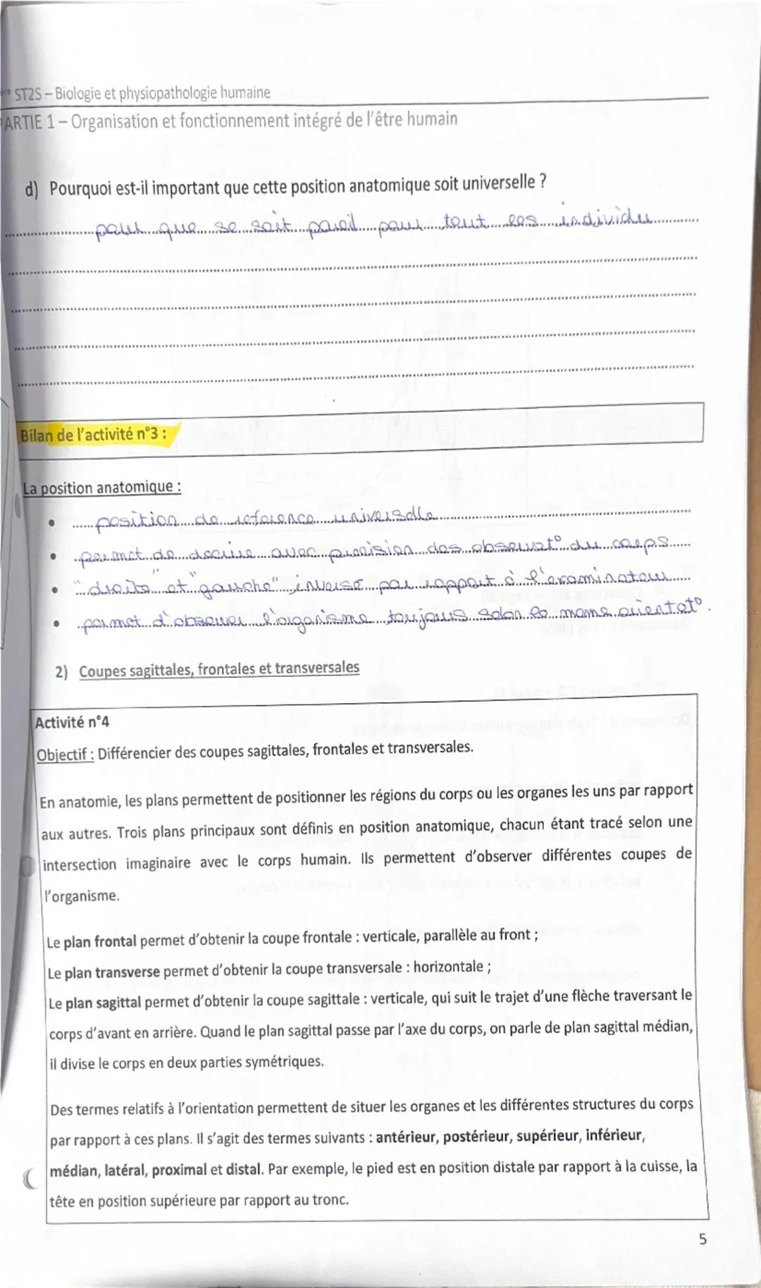 # 1<sup>er</sup> ST2S – Biologie et physiopathologie humaine
PARTIE 1 – Organisation et fonctionnement intégré de l’être humain

Bilan de l’
