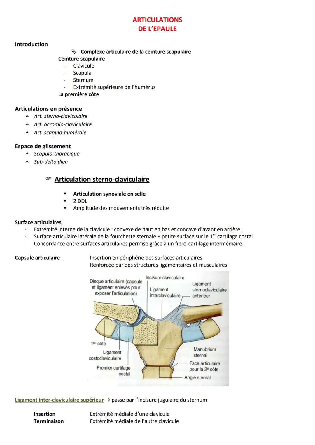 Arthrologie du membre supérieur 