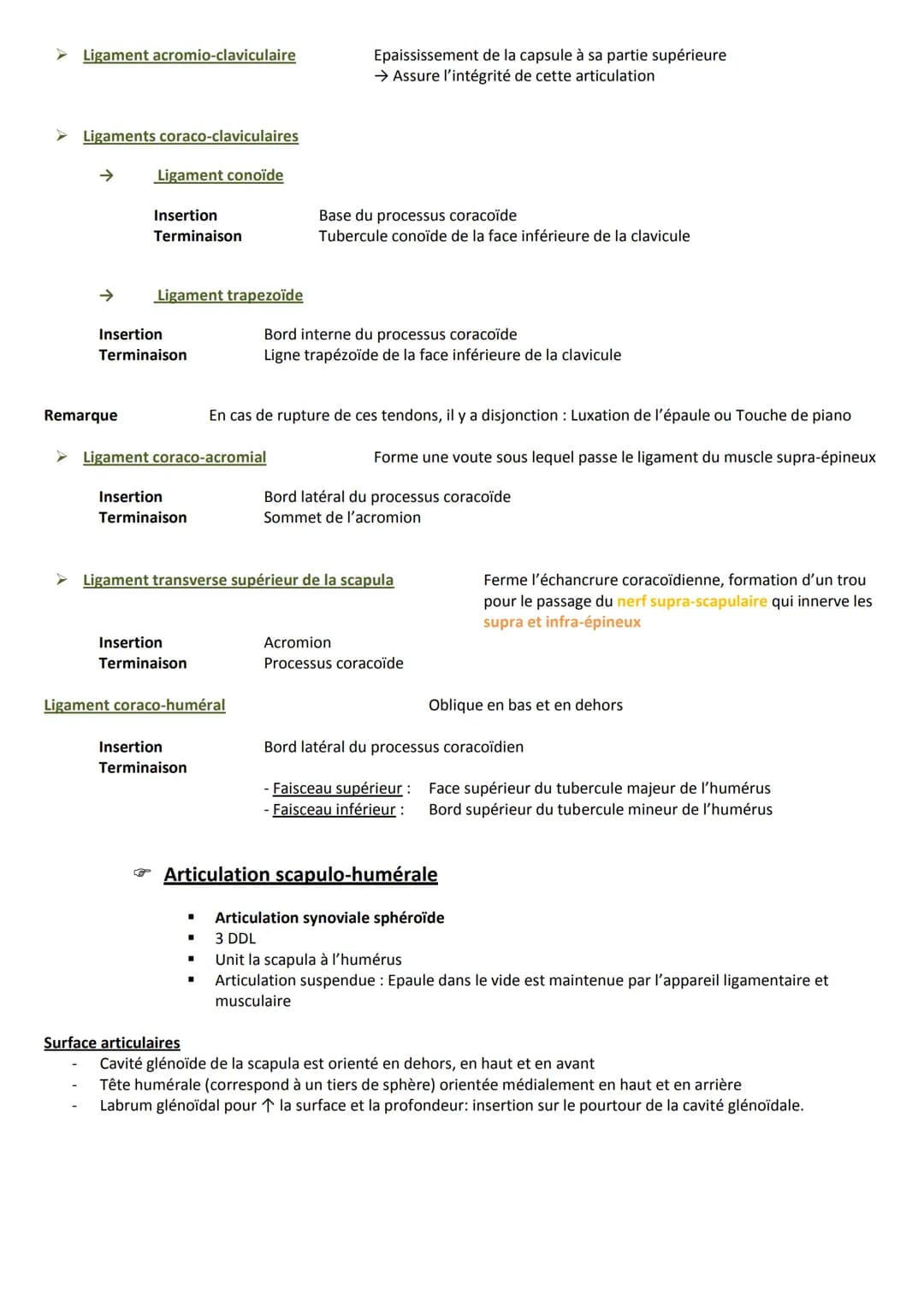Introduction
Ceinture scapulaire
Clavicule
Scapula
Sternum
Extrémité supérieure de l'humérus
La première côte
Articulations en présence
A Ar