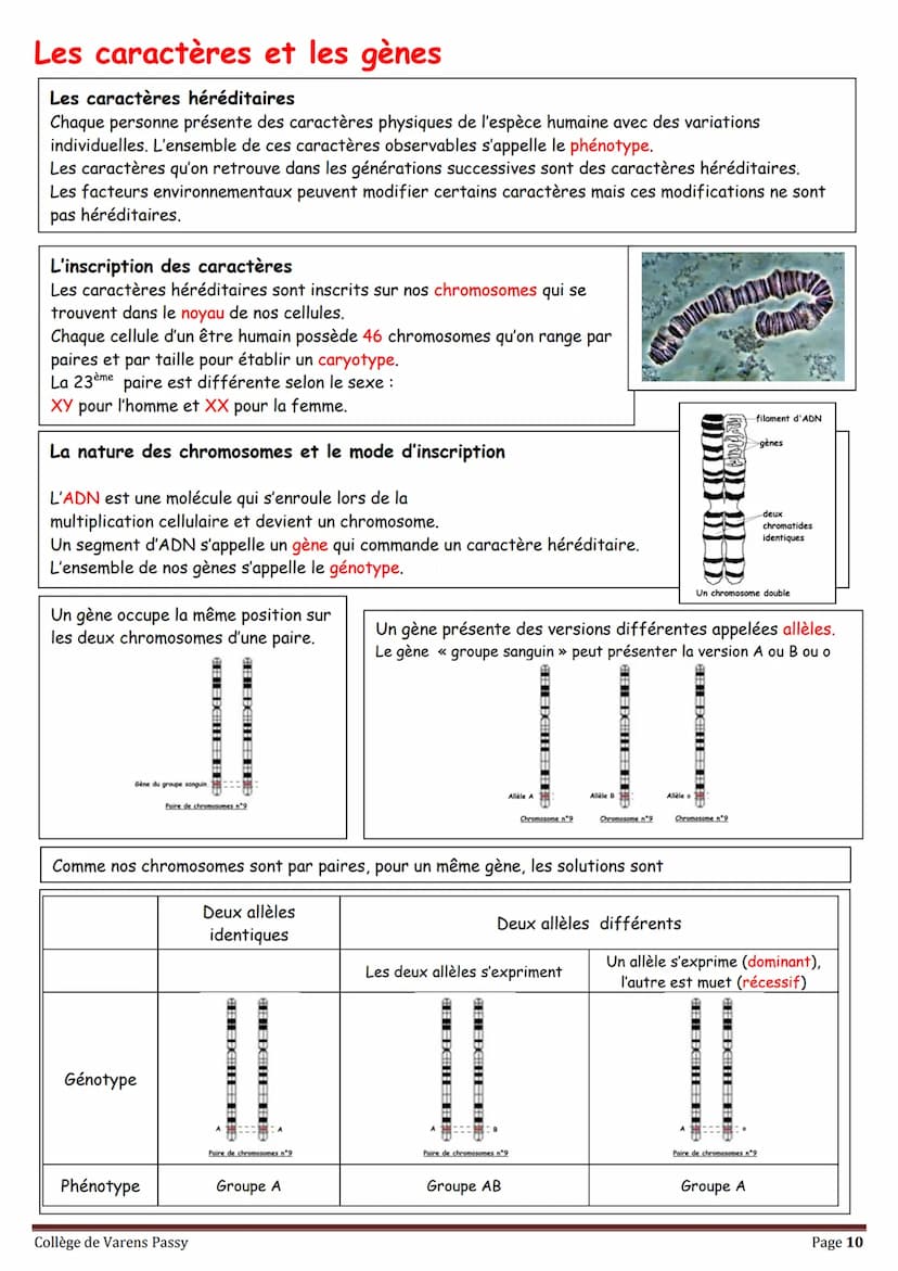 2018
SVT
Révisions pour le brevet
Collège de Varens Passy Les volcans
Les séismes
La planète Terre
La circulation du sang
La structure de
la
