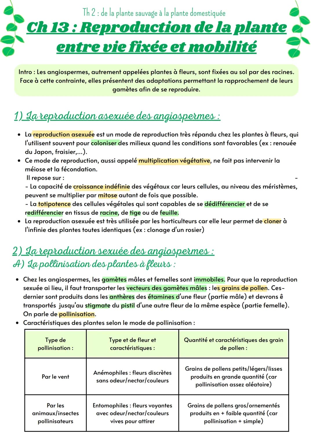 Th 2: de la plante sauvage à la plante domestiquée
Ch 13: Reproduction de la plante
entre vie fixée et mobilité
Intro : Les angiospermes, au
