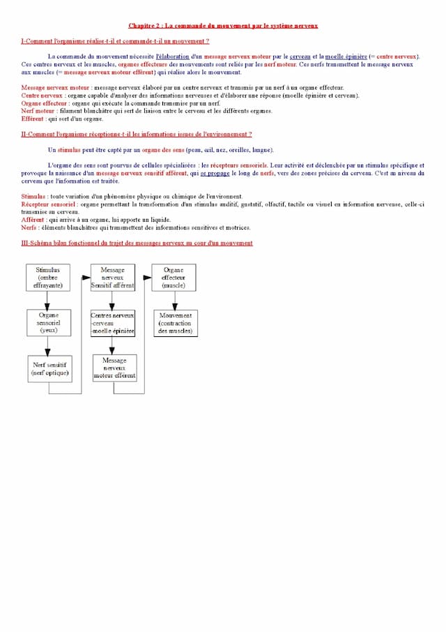 Know SVT 5ème - la commande du mouvement par le système nerveux thumbnail