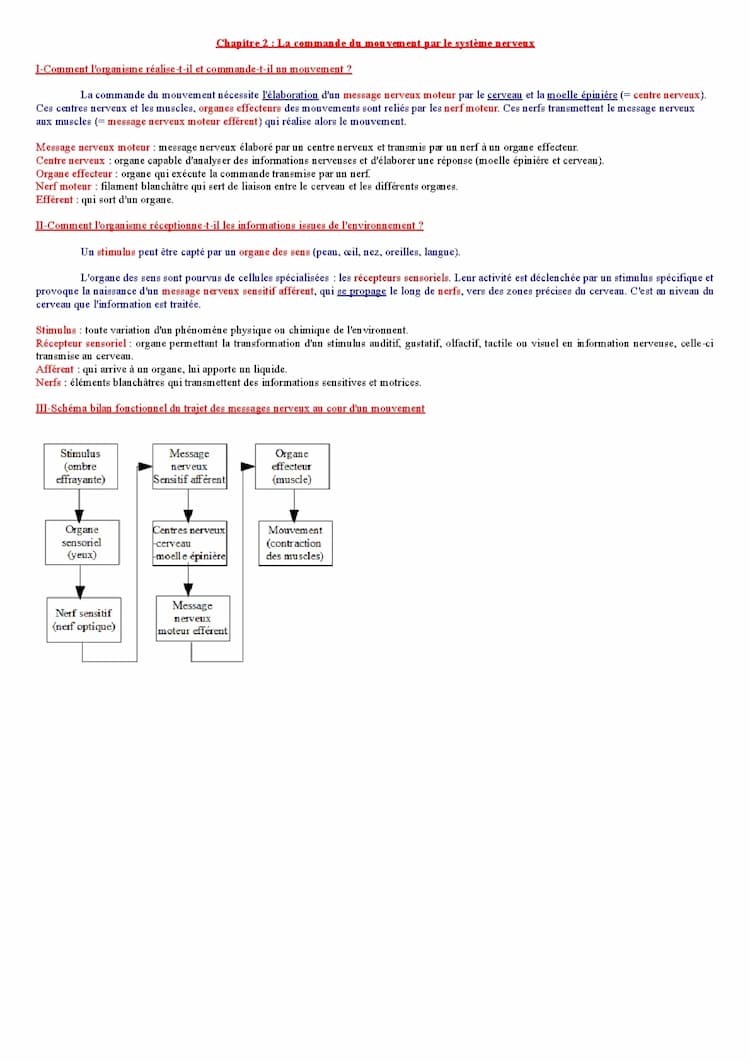 Know SVT 5ème - la commande du mouvement par le système nerveux thumbnail