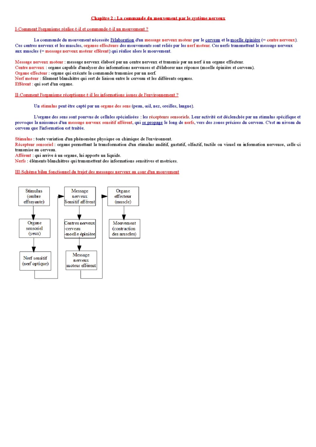 Comprendre la commande du mouvement par le système nerveux en SVT (5ème)