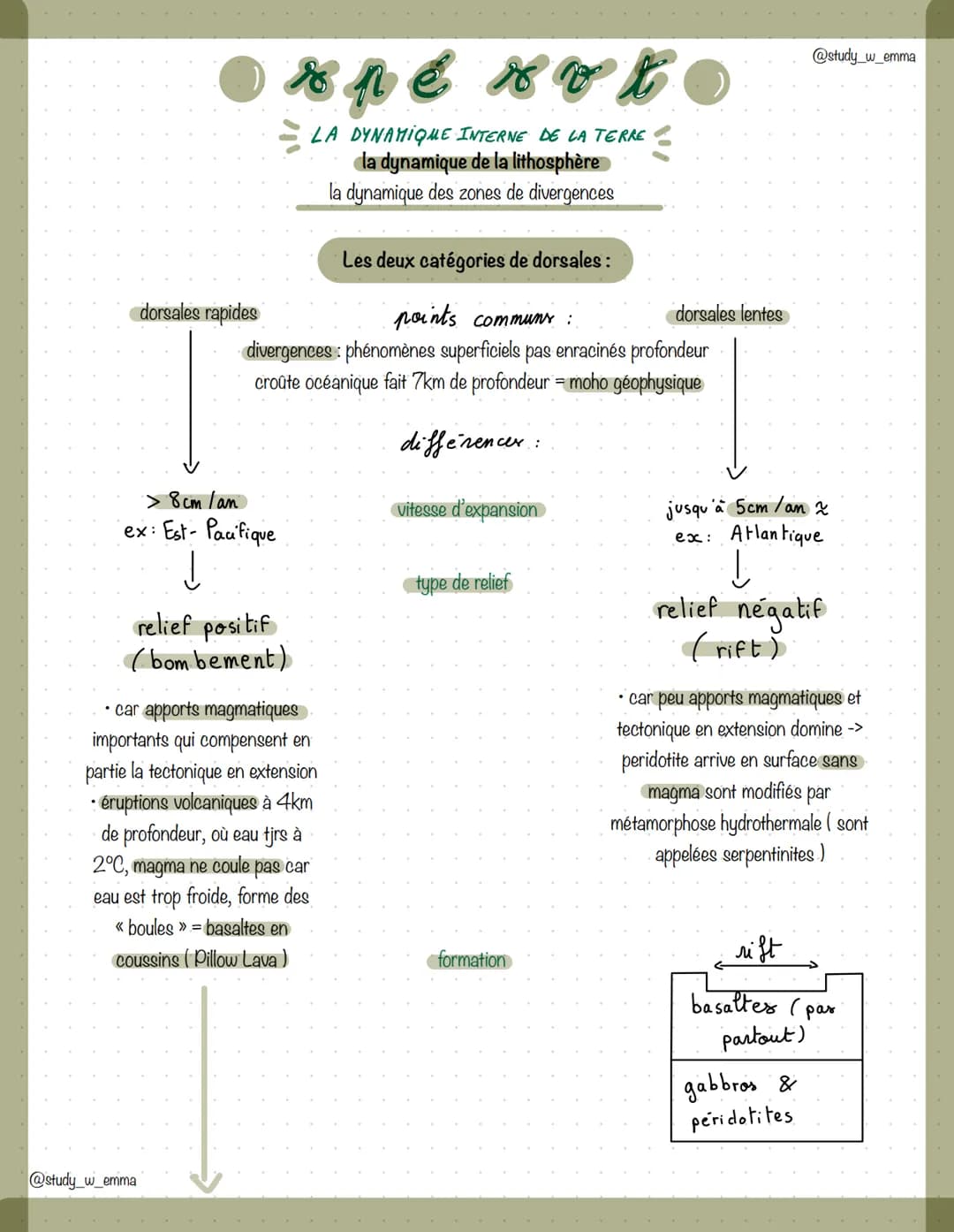 ● x pe x x x
LA DYNAMIQUE INTERNE DE LA TERRE
la dynamique de la lithosphère
la dynamique des zones de divergences
Les deux catégories de do