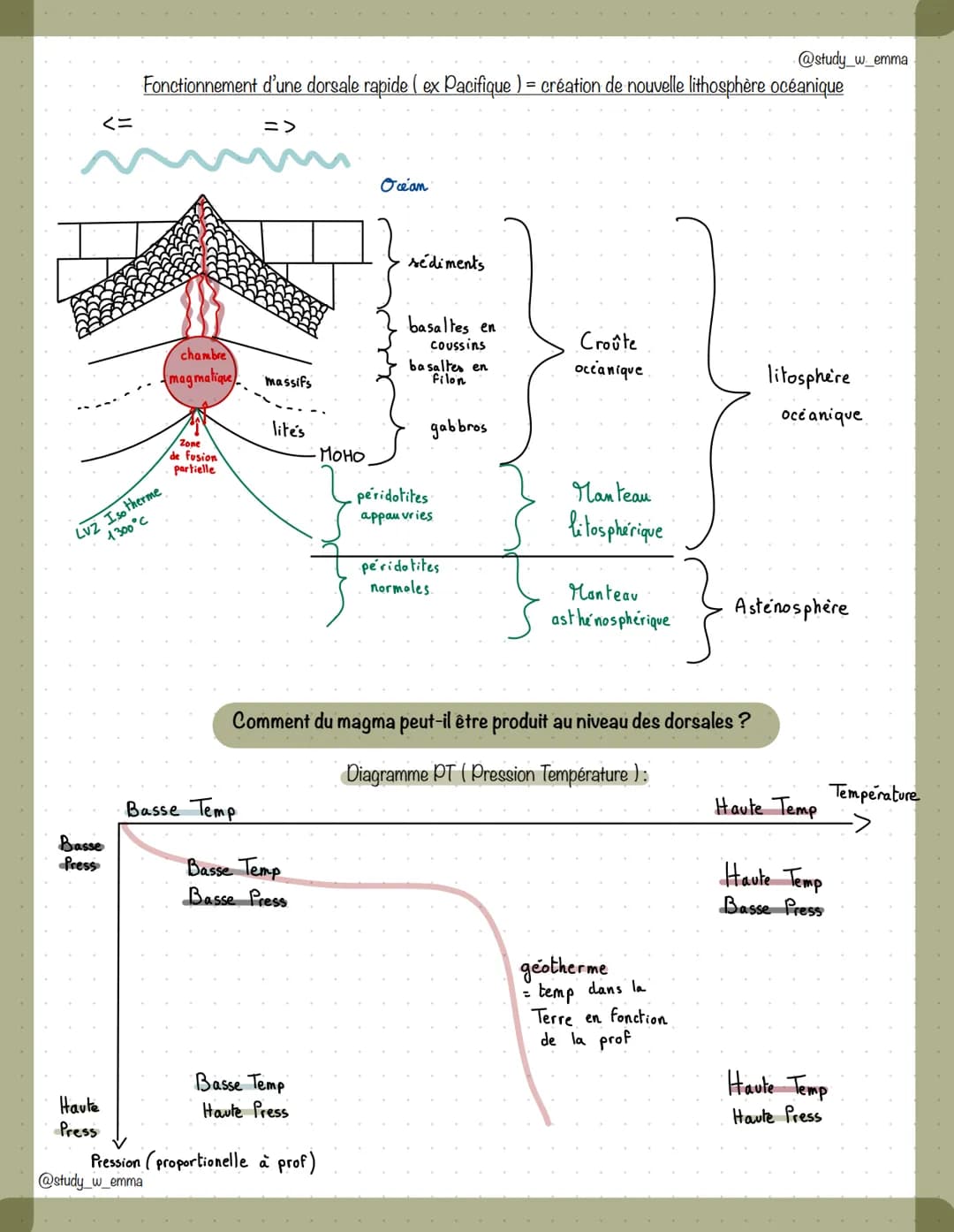● x pe x x x
LA DYNAMIQUE INTERNE DE LA TERRE
la dynamique de la lithosphère
la dynamique des zones de divergences
Les deux catégories de do