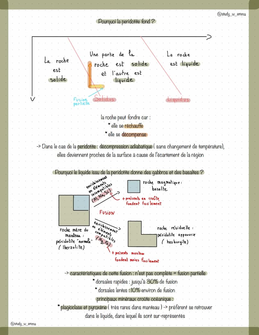 ● x pe x x x
LA DYNAMIQUE INTERNE DE LA TERRE
la dynamique de la lithosphère
la dynamique des zones de divergences
Les deux catégories de do