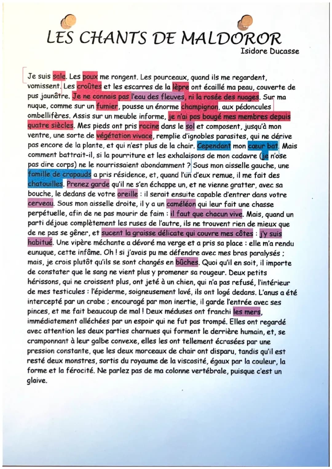 Les Chants de Maldoror : Résumé et Textes Simples