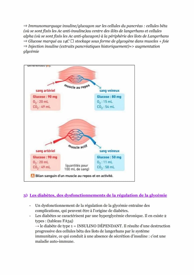 Chapitre 12: le flux de glucose, source d'énergie des cellules
musculaires
Introduction
Pour produire de l'énergie, les cellules musculaires