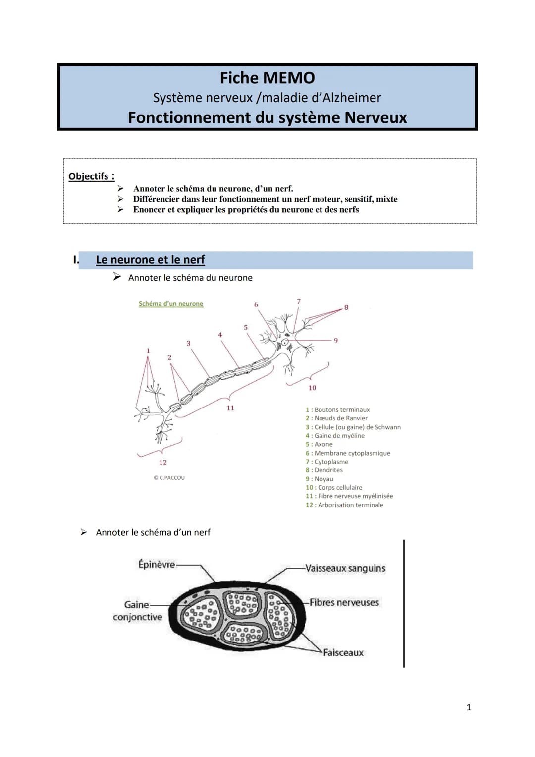 Objectifs :
➤
Fiche MEMO
Système nerveux /maladie d'Alzheimer
Fonctionnement du système Nerveux
Annoter le schéma du neurone, d'un nerf.
Dif