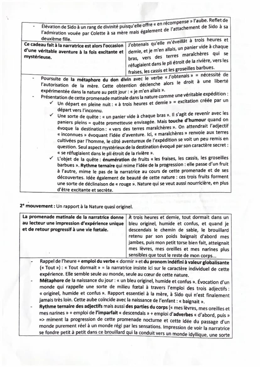 Parcours : La célébration du monde
Texte 10: Colette, Sido
1
5
10
15
20
Étés réverbérés par le gravier jaune et chaud, étés traversant le jo