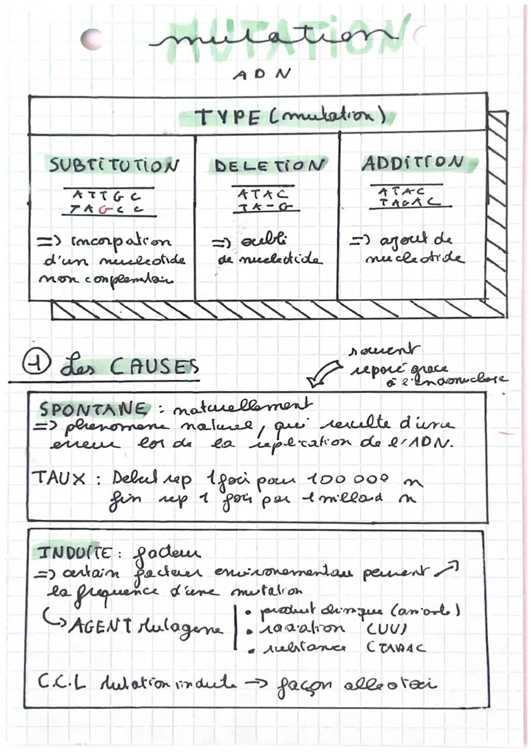 Mutation de l’ADN, première 