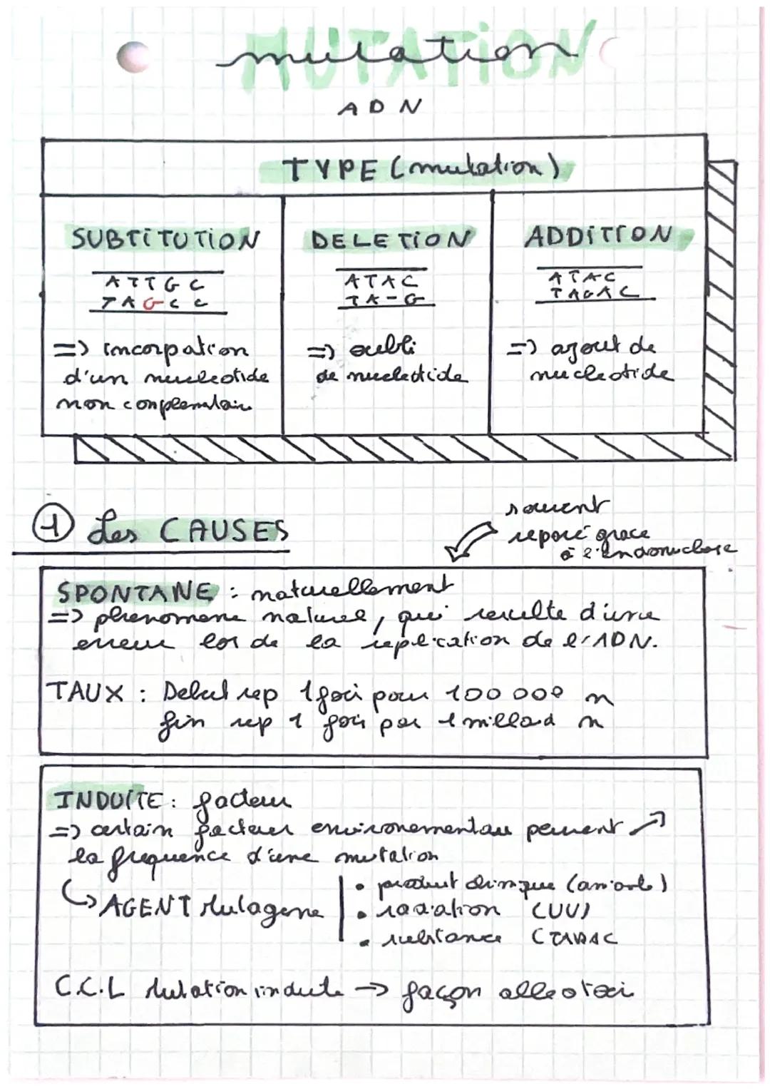 mulation
ADN
SUBTITUTION
ATTGC
TAGEC
=> incorpation
d'un meteotide
none
complemalaine
TYPE (mulation)
DELETION
АТАС
TX-G
=) oubli
de nuclett