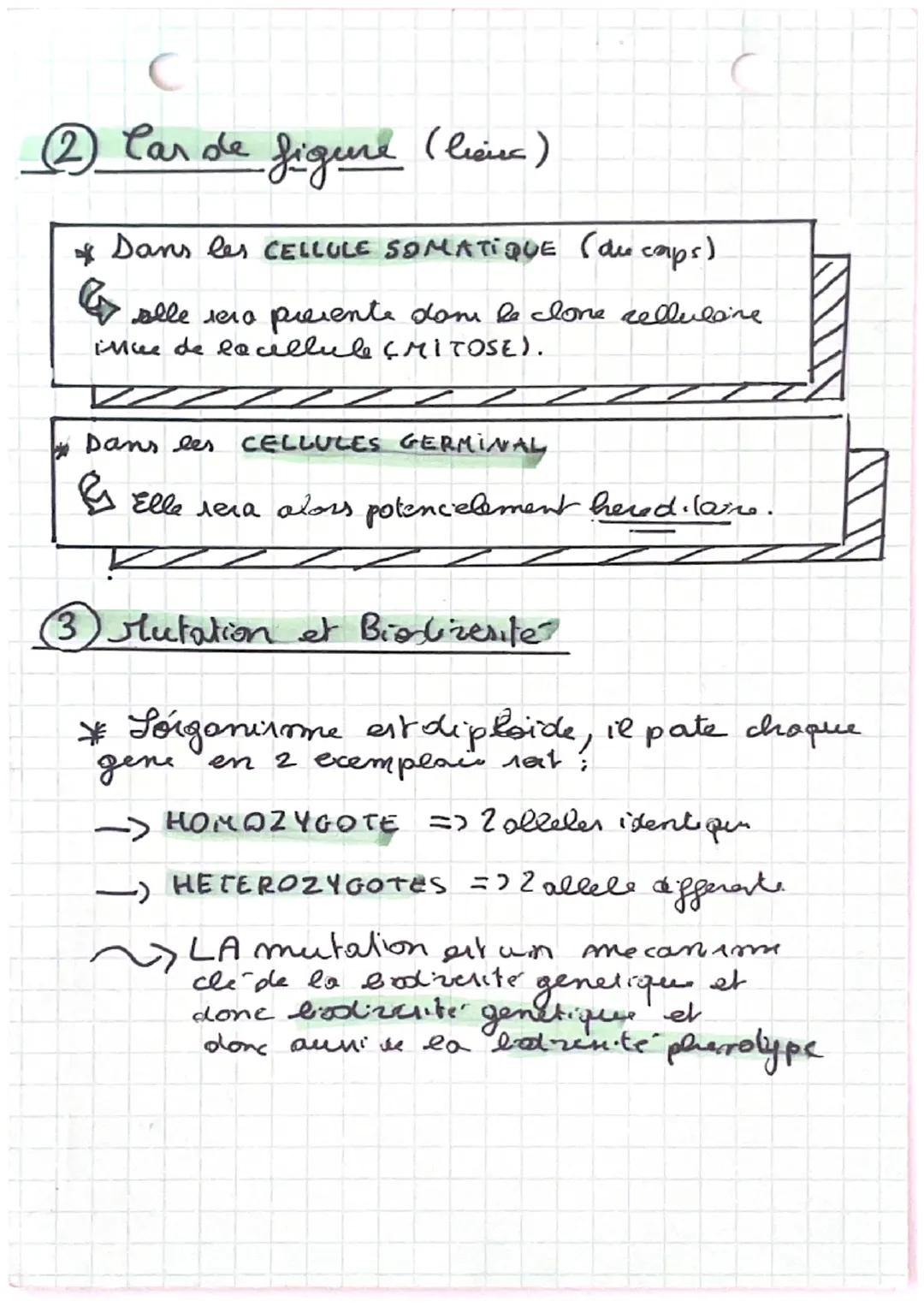 mulation
ADN
SUBTITUTION
ATTGC
TAGEC
=> incorpation
d'un meteotide
none
complemalaine
TYPE (mulation)
DELETION
АТАС
TX-G
=) oubli
de nuclett
