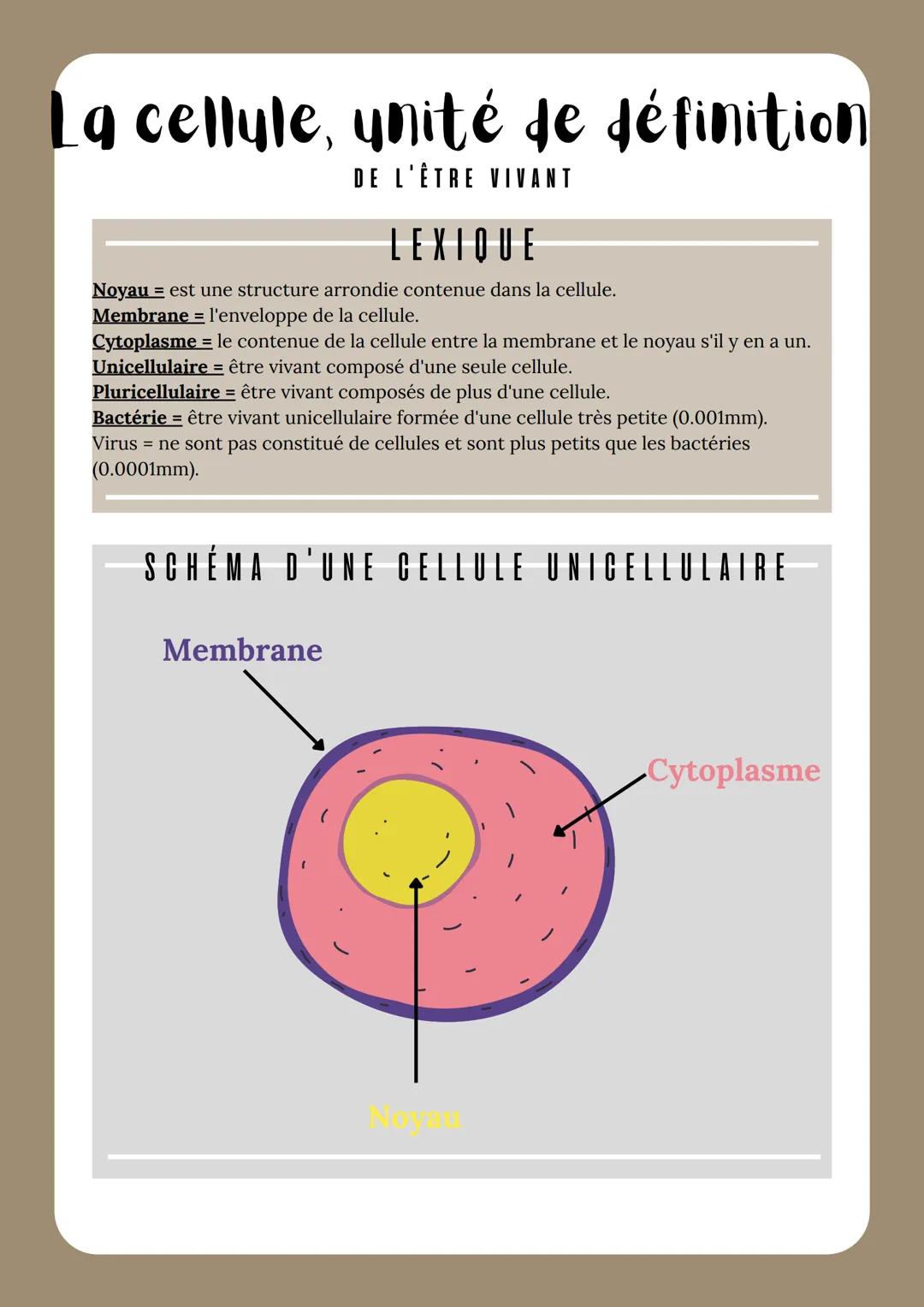 La cellule, unité de définition
DE L'ÊTRE VIVANT
LEXIQUE
Noyau est une structure arrondie contenue dans la cellule.
Membrane = l'enveloppe d