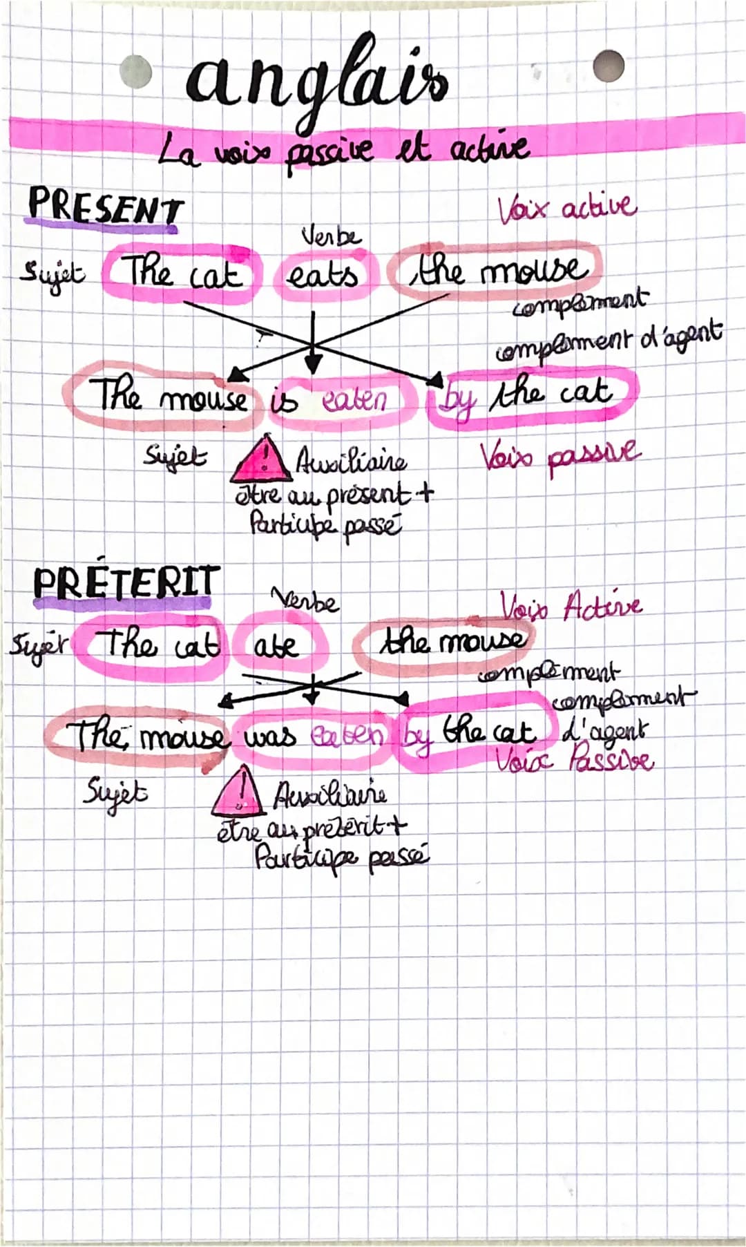 anglais
La voix passive et active
PRESENT
Voix active
Verbe
Sujet The cat eats the mouse
The mouse is eaten by the cat
Voix passive
Sujet Au