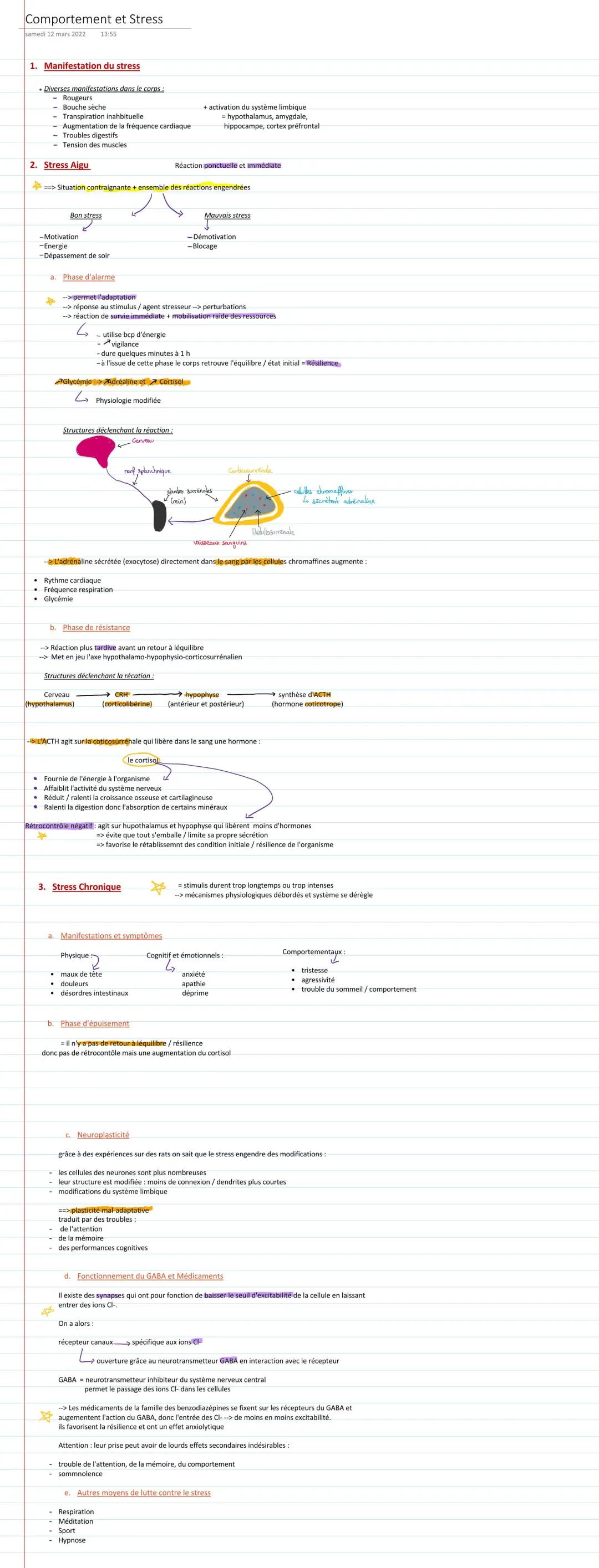 TP Stress et Comportement SVT Terminale - Schéma et Cours