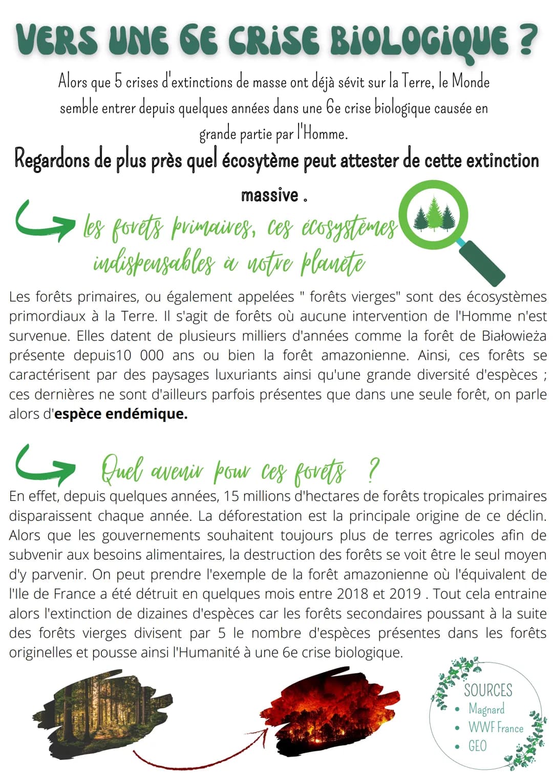 VERS UNE SE CRISE BIOLOGIQUE?
Alors que 5 crises d'extinctions de masse ont déjà sévit sur la Terre, le Monde
semble entrer depuis quelques 