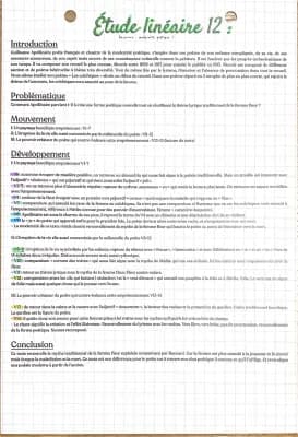 Know étude linéaire sur les colchiques de guillaume apollinaire  thumbnail