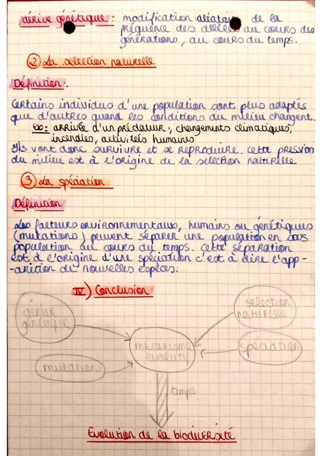 # SVT: Chapitre 2.

I) Biodiversité au cours du temps

- La biodiversité actuelle évolue en permanence our des
temps.courts. Il ya eu appari