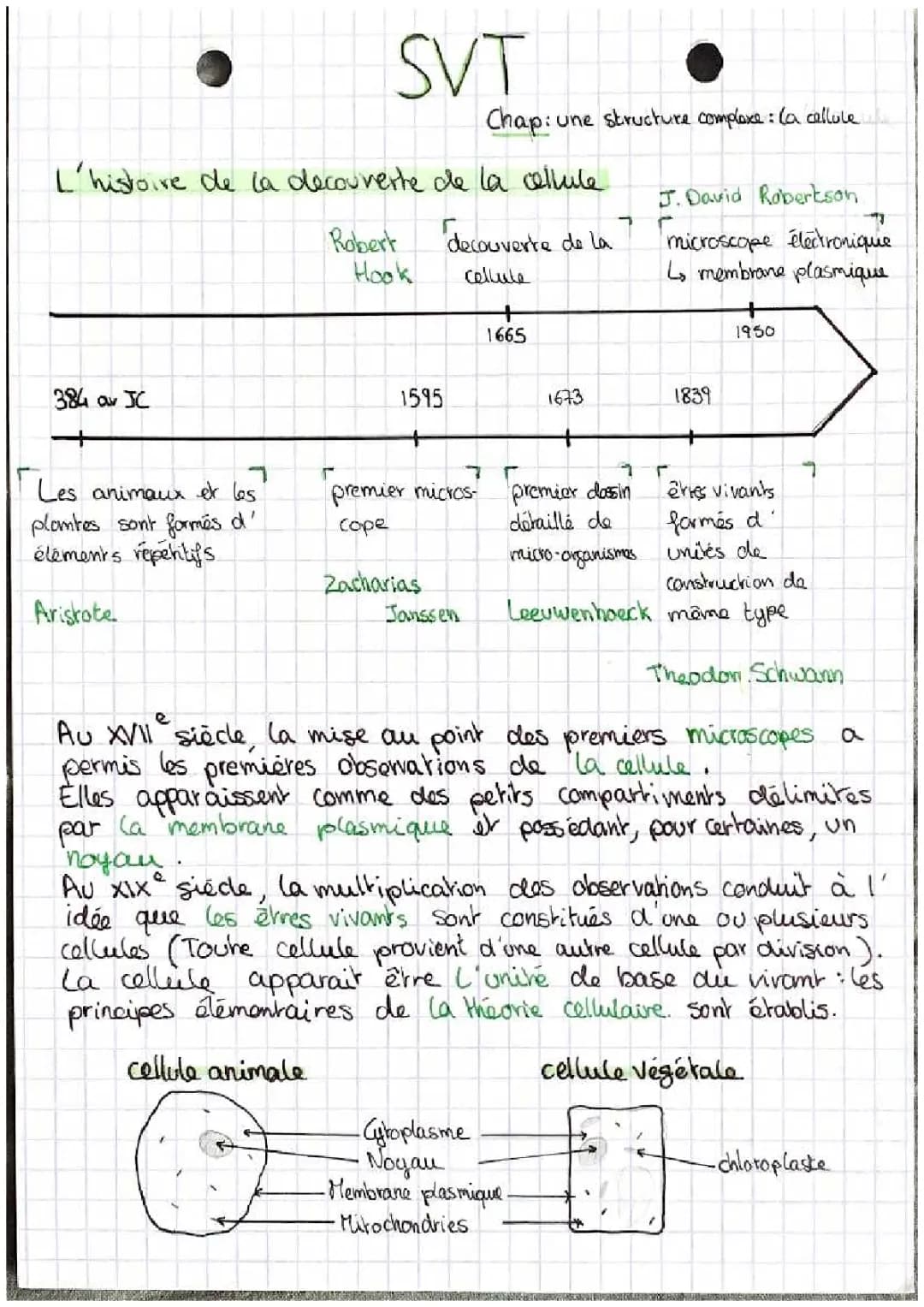 SVT, une structure complexe : la cellule 