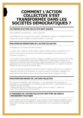 Know Comment l’action collective s’est transformée dans les sociétés démocratiques ? thumbnail