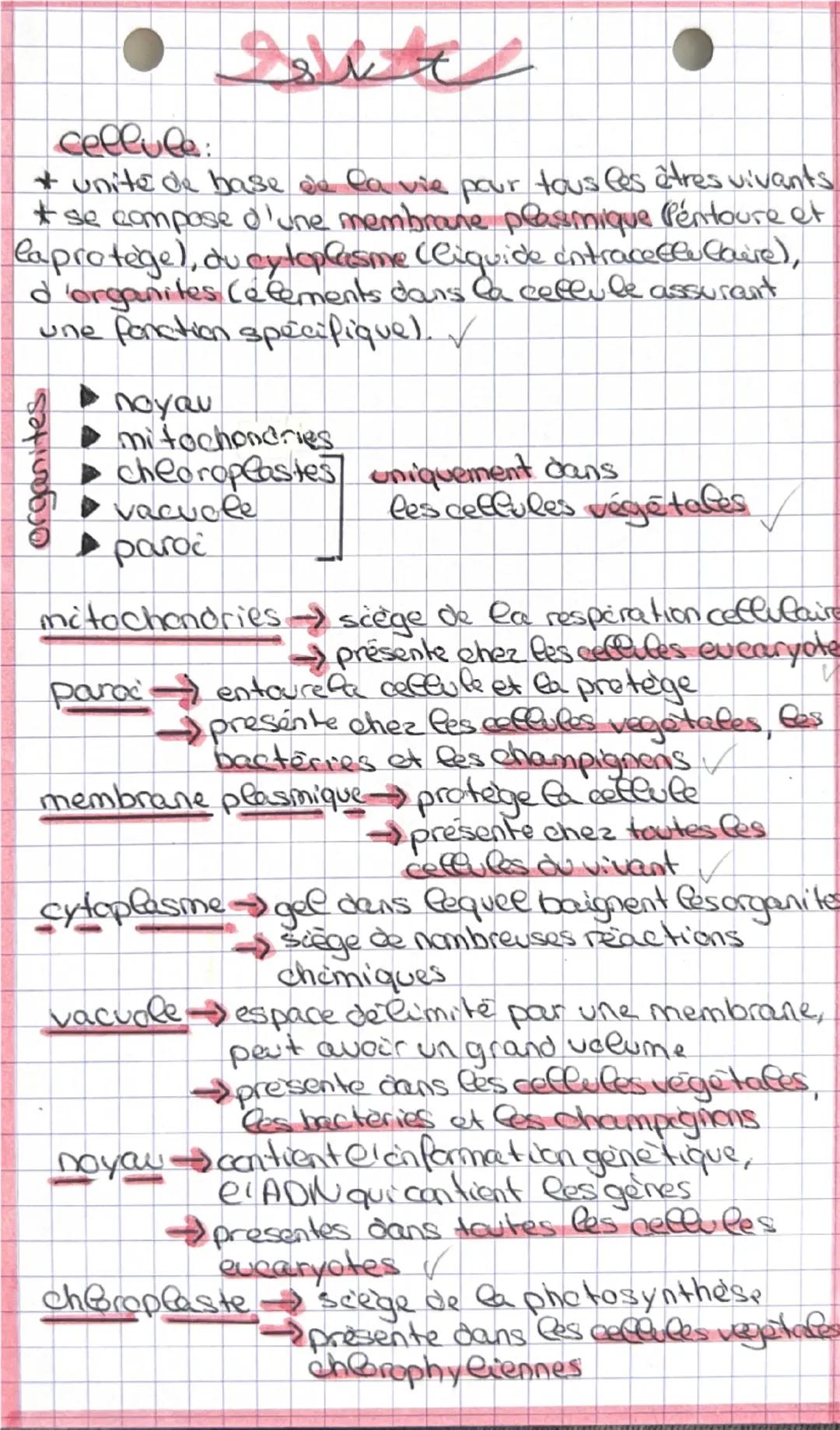 --- OCR Start ---
cellule:
+ unite de base de la vie pour tous les êtres vivants
* se compose d'une membrane plasmique Péntoure et
laprotège