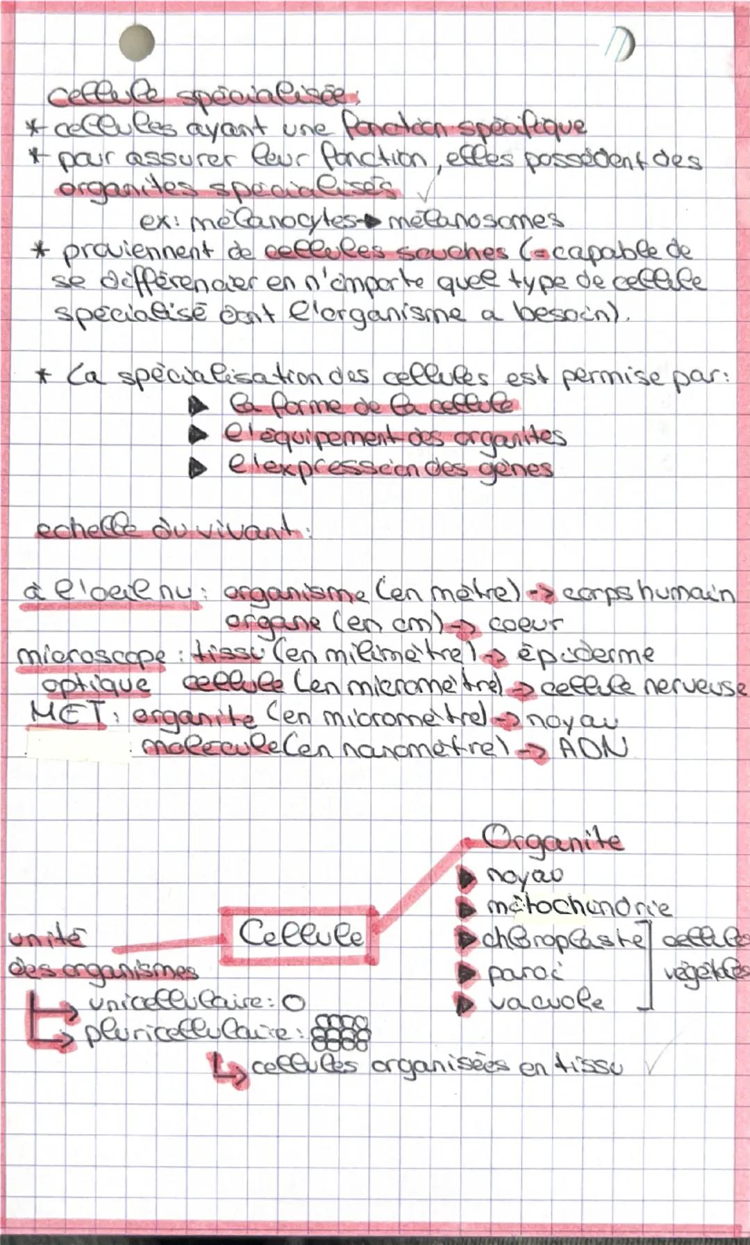 --- OCR Start ---
cellule:
+ unite de base de la vie pour tous les êtres vivants
* se compose d'une membrane plasmique Péntoure et
laprotège