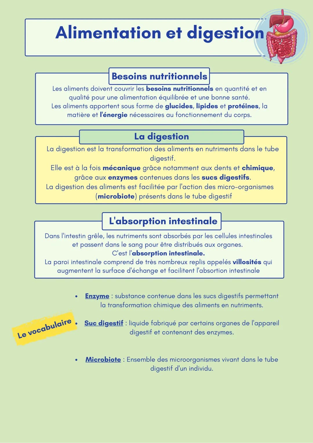 # Alimentation et digestion

## Besoins nutritionnels
Les aliments doivent couvrir les besoins nutritionnels en quantité et en
qualité pour 