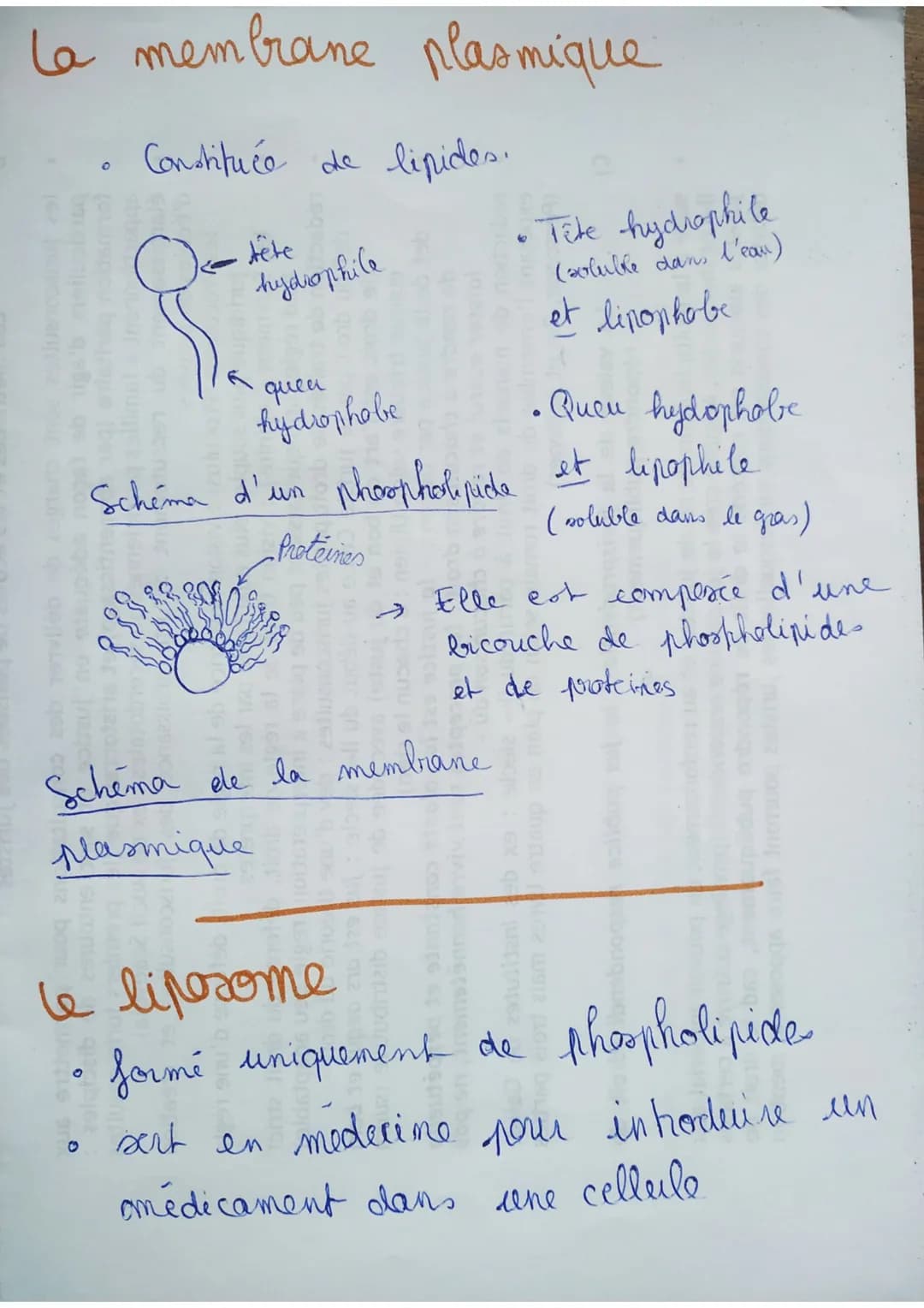 Ca ill vivante : une structure
са
complexe
1595 - Premier microscope optique par Janseen (x10)
- Microscope optique X30 par Galilée
Microsco