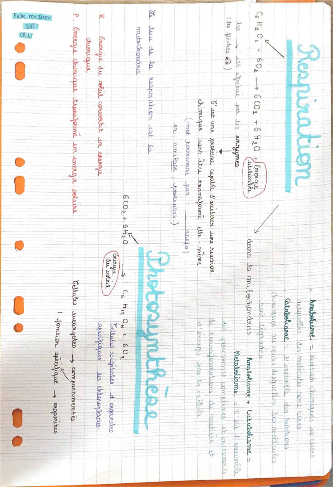 сь на об
R.
Respiration
les
(les flèches)
+
Fiche revision
SVT
60₂ - 6 002 + 6H₂O + Energie
utilisable
CR
Le lieu de la resporation est la
m