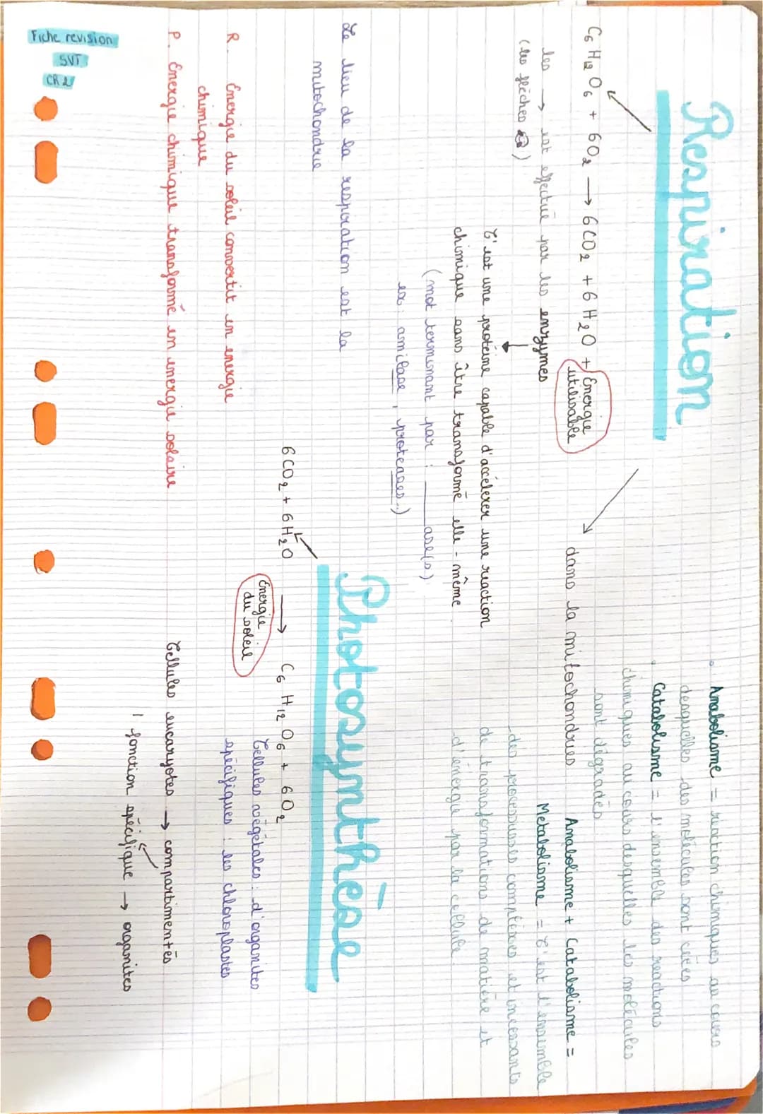 сь на об
R.
Respiration
les
(les flèches)
+
Fiche revision
SVT
60₂ - 6 002 + 6H₂O + Energie
utilisable
CR
Le lieu de la resporation est la
m