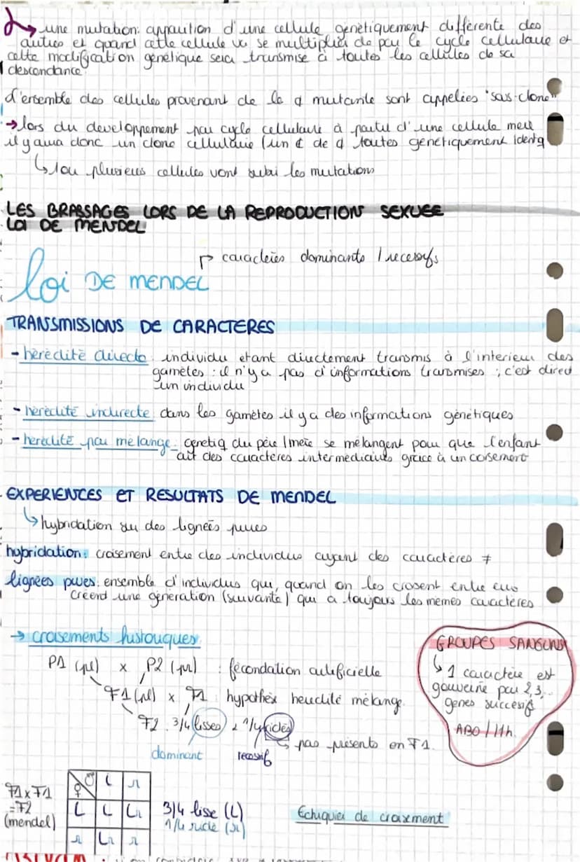 ለ,
BRASSAGES GENETIQUES DURANT IN MEInse
Lorigine du genotype
INDIVIDUS
STABILITE GENETIQUE ET EVOLUTION CLONALE
CYCLE CELLULAIRE: STABILITE