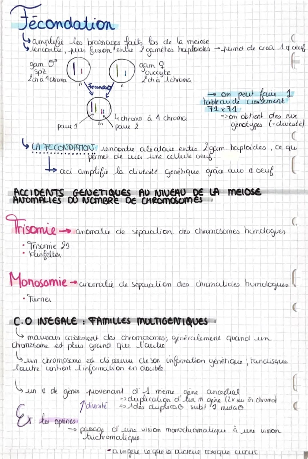 ለ,
BRASSAGES GENETIQUES DURANT IN MEInse
Lorigine du genotype
INDIVIDUS
STABILITE GENETIQUE ET EVOLUTION CLONALE
CYCLE CELLULAIRE: STABILITE