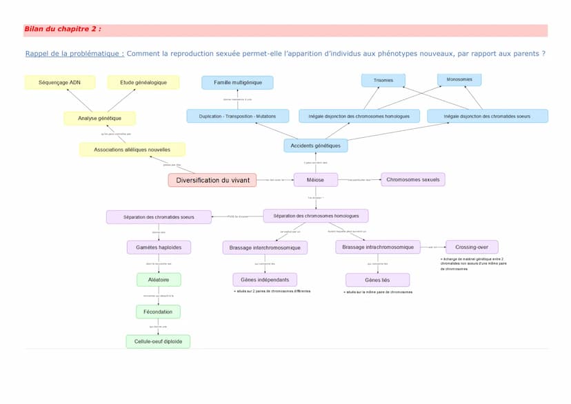 Thème 1 - La Terre, la vie, l'évolution du vivant
Chapitre 2 : Les conséquences génétiques de la reproduction sexuée
La reproduction est la 
