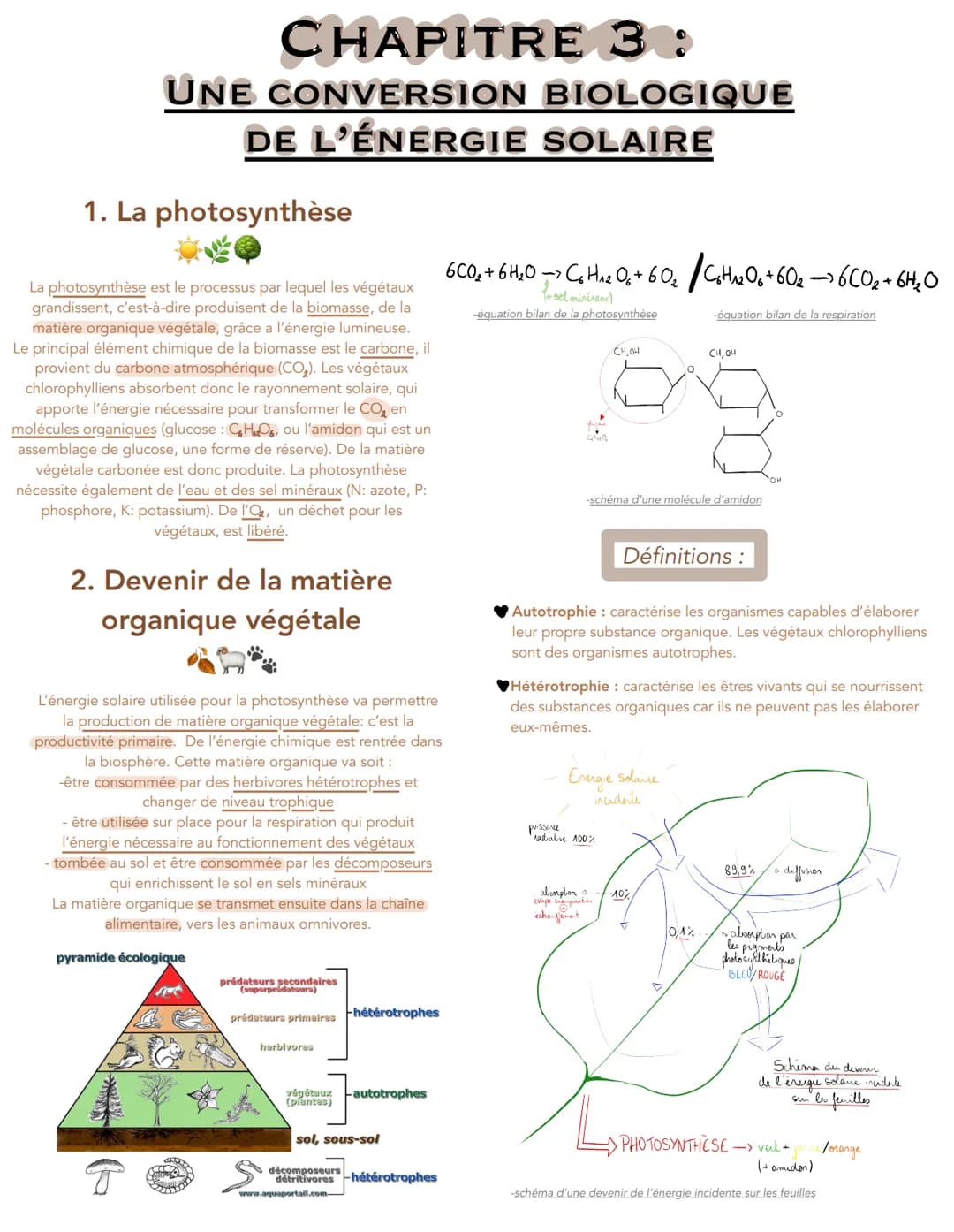 CHAPITRE 3:
UNE CONVERSION BIOLOGIQUE
DE L'ÉNERGIE SOLAIRE
1. La photosynthèse
La photosynthèse est le processus par lequel les végétaux
gra