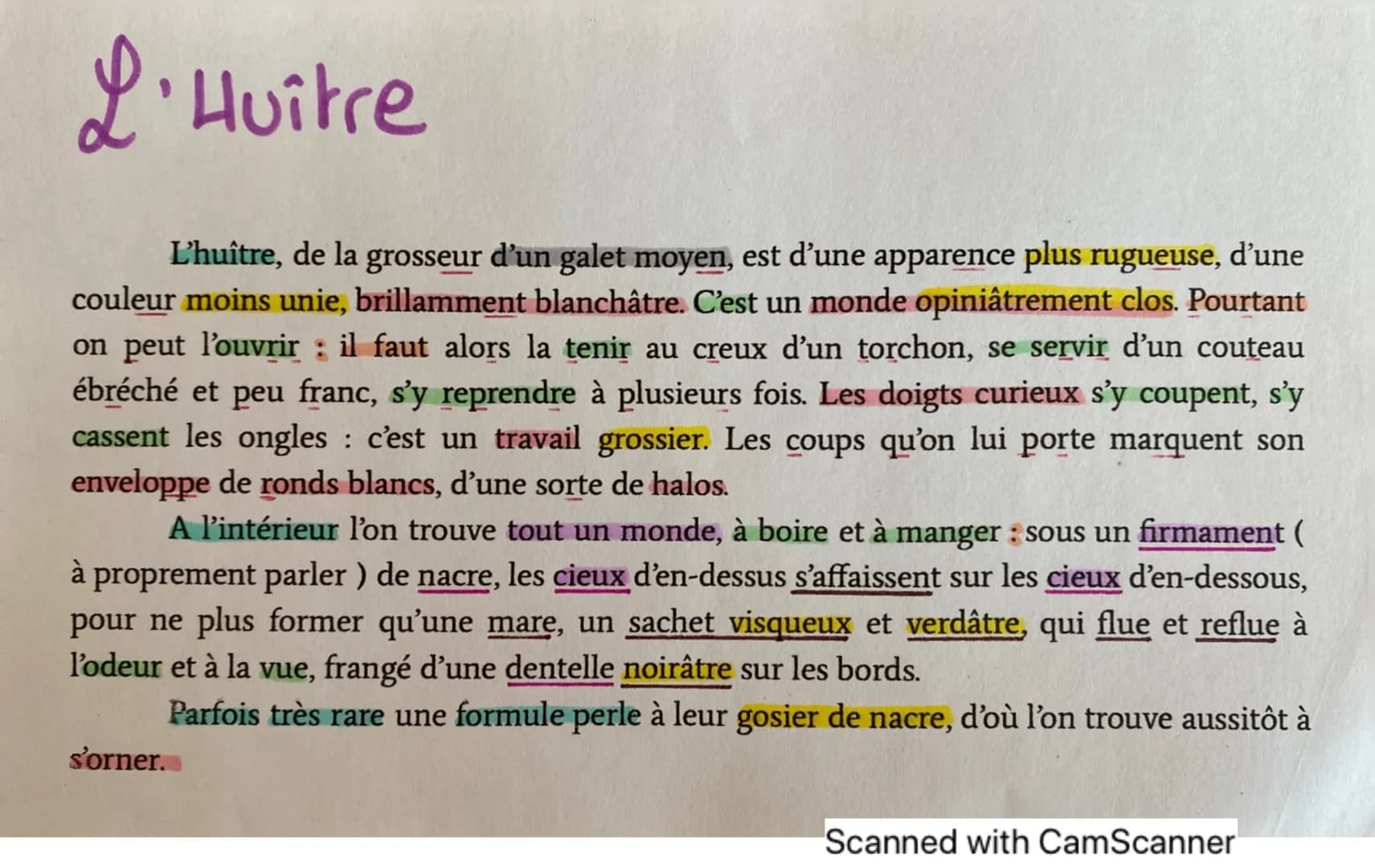 L'Huitre
L'huître, de la grosseur d'un galet moyen, est d'une apparence plus rugueuse, d’une
couleur moins unie, brillamment blanchâtre. C'e
