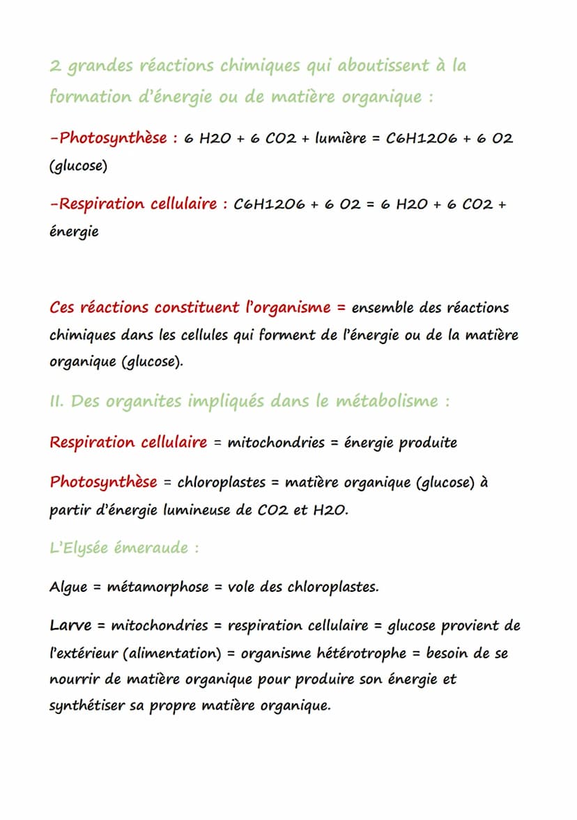 Définition:
SVT
Organite Structure intracellulaire délimitée par au moins une
membrane biologique, et assurant une (ou des) fonction(s) préc
