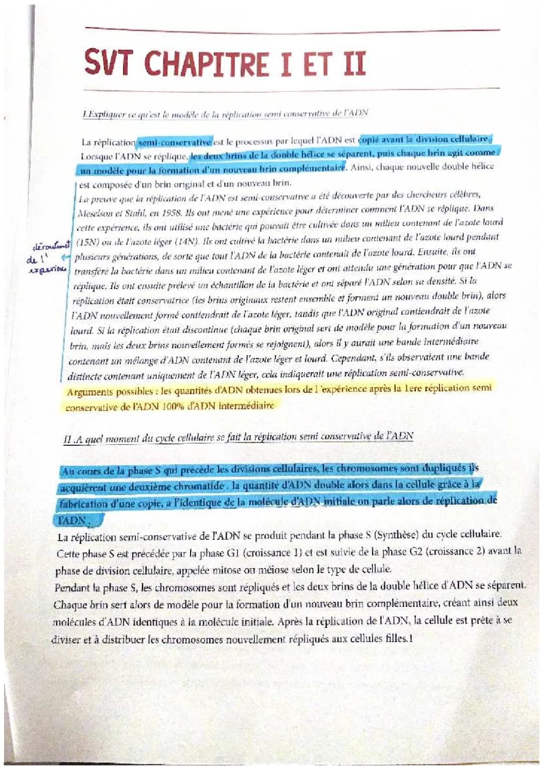 mutations génétiques et réplication semi conservative 
