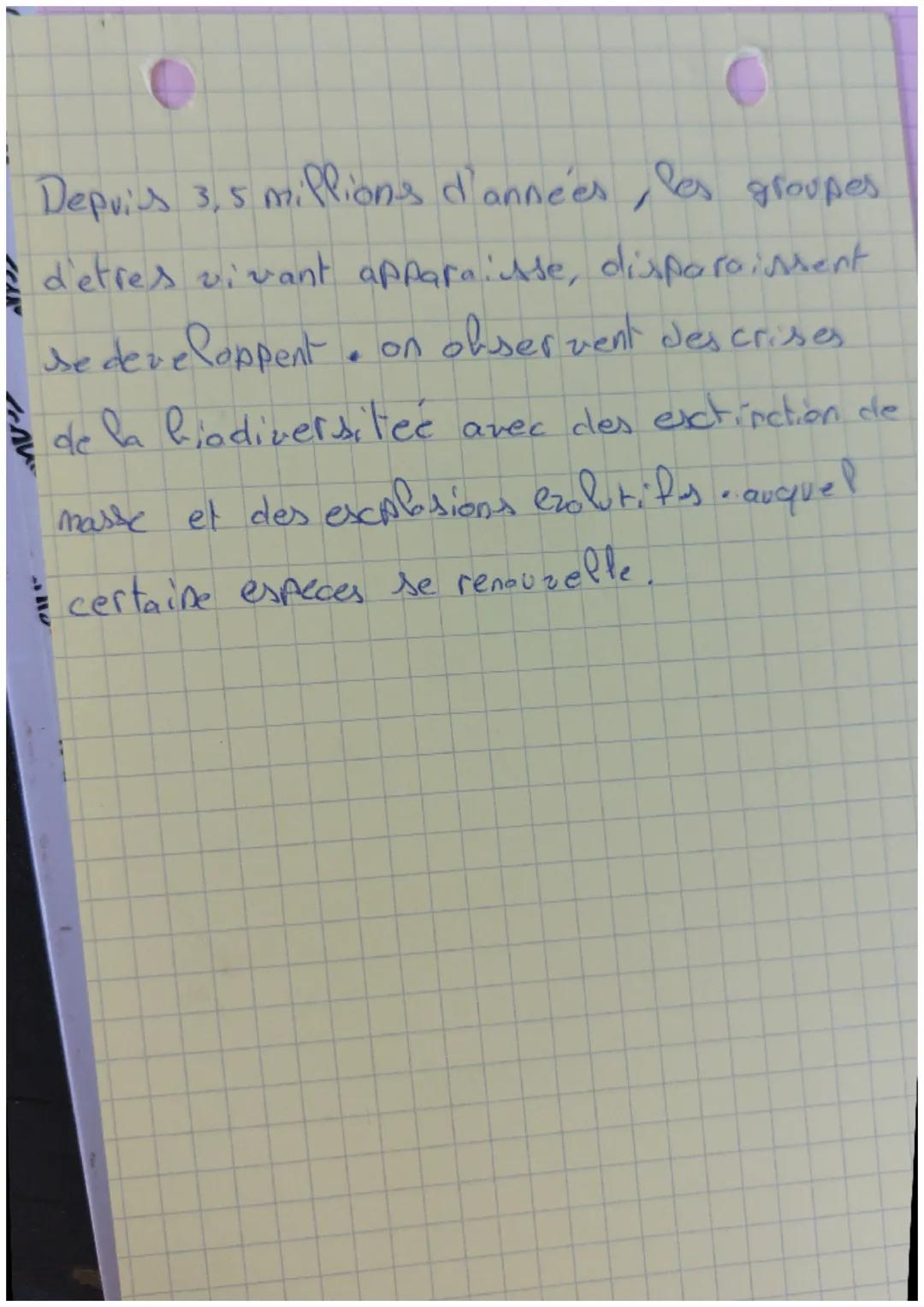 # Evolution des
organisme vivants
er
'Ristoire de la terce

Bomme
Pigeon
Crocodile
Cropard
fardine
requin
gorille

•Ancêtre
squelette osseux