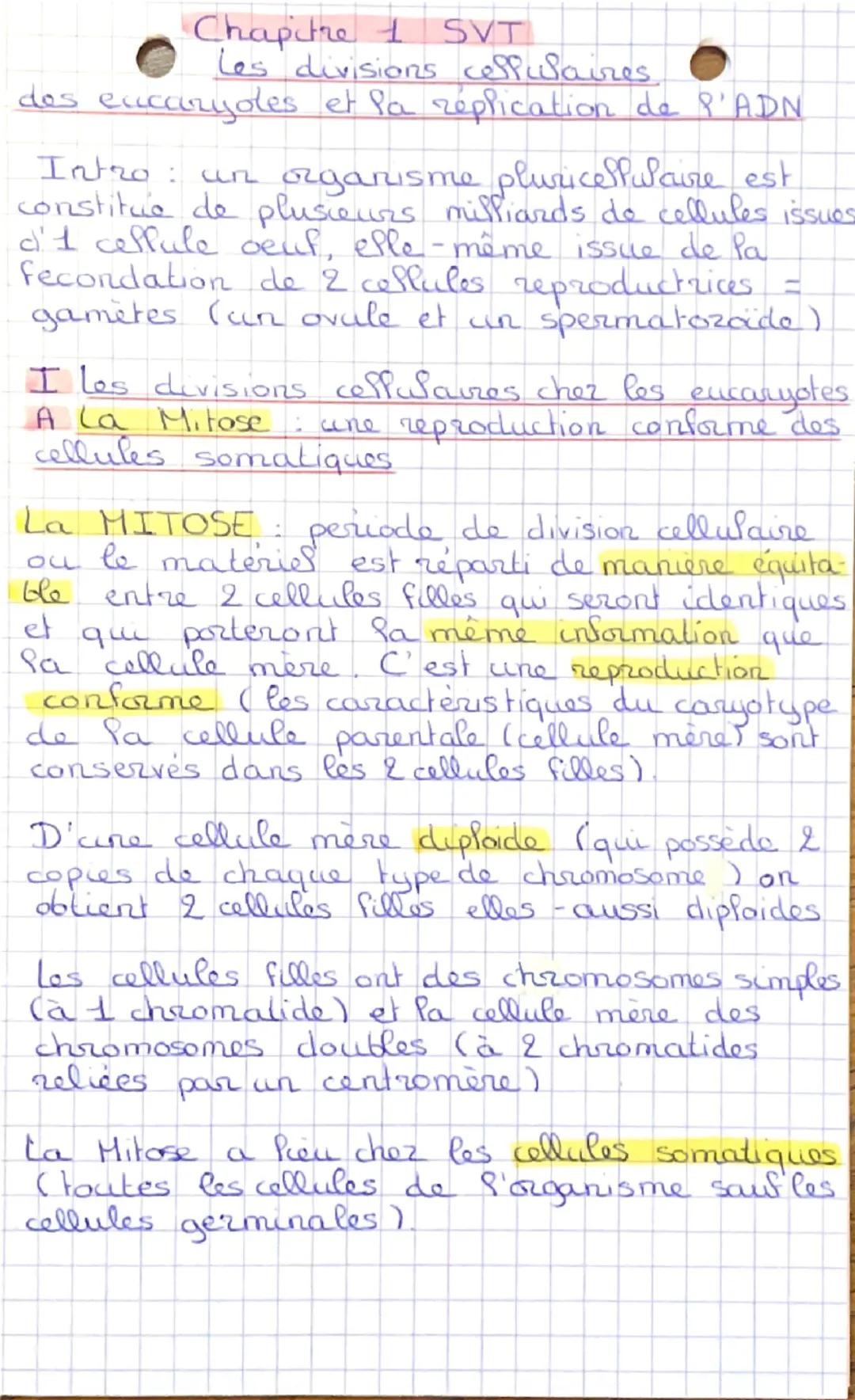Chapitre 1 SVT
les divisions cellulaires
des eucaryotes et la réplication de l'ADN
Intro : un organisme pluricellulaire est
constitué de plu