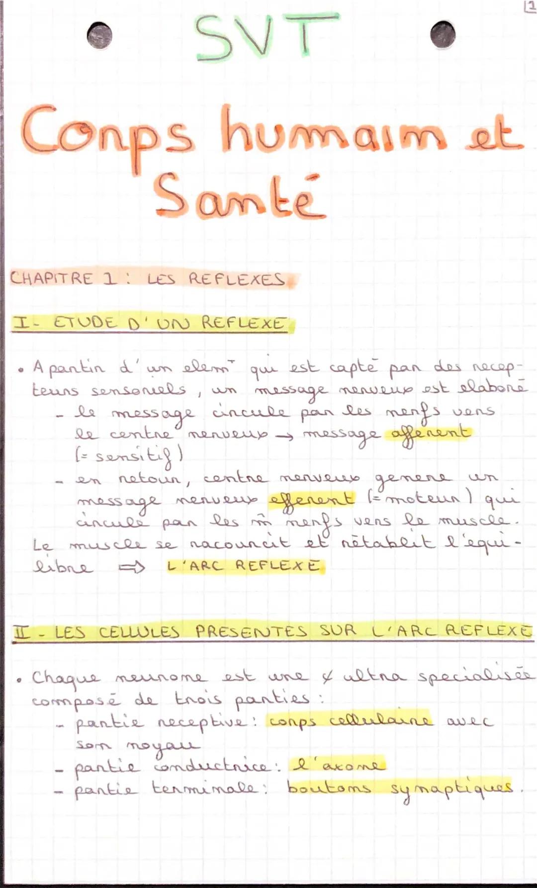 Les Réflexes SVT Terminale PDF : Types de Réflexes et Schémas